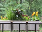 IMG_0008