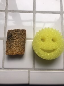 Cesspool of bacteria (left) and Sponge (right)