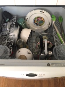 Paris plate, bowls, plastic deli containers in dishwasher 