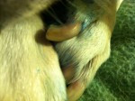 photo-36